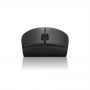 Lenovo | Wireless Compact Mouse | 300 | Optical Mouse | 2.4 GHz Wireless via Nano USB | Black | 1 year(s) - 6
